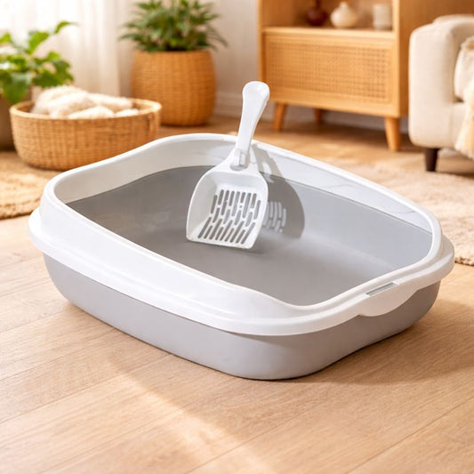 bac à litière chat chaton salon