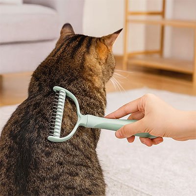 Brosse pour Chat