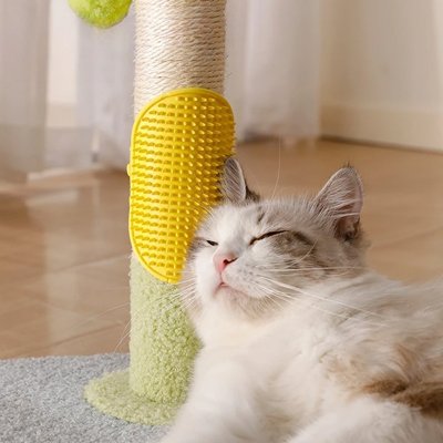 Brosse pour chat