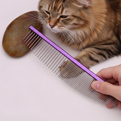 Peigne pour chat