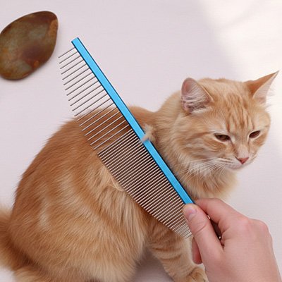 Peigne pour chat